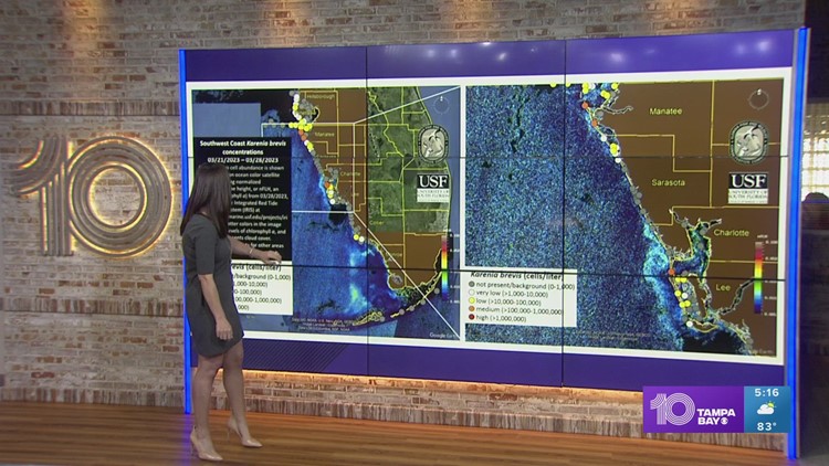 Latest red tide: Conditions slowly improve across Florida coastline