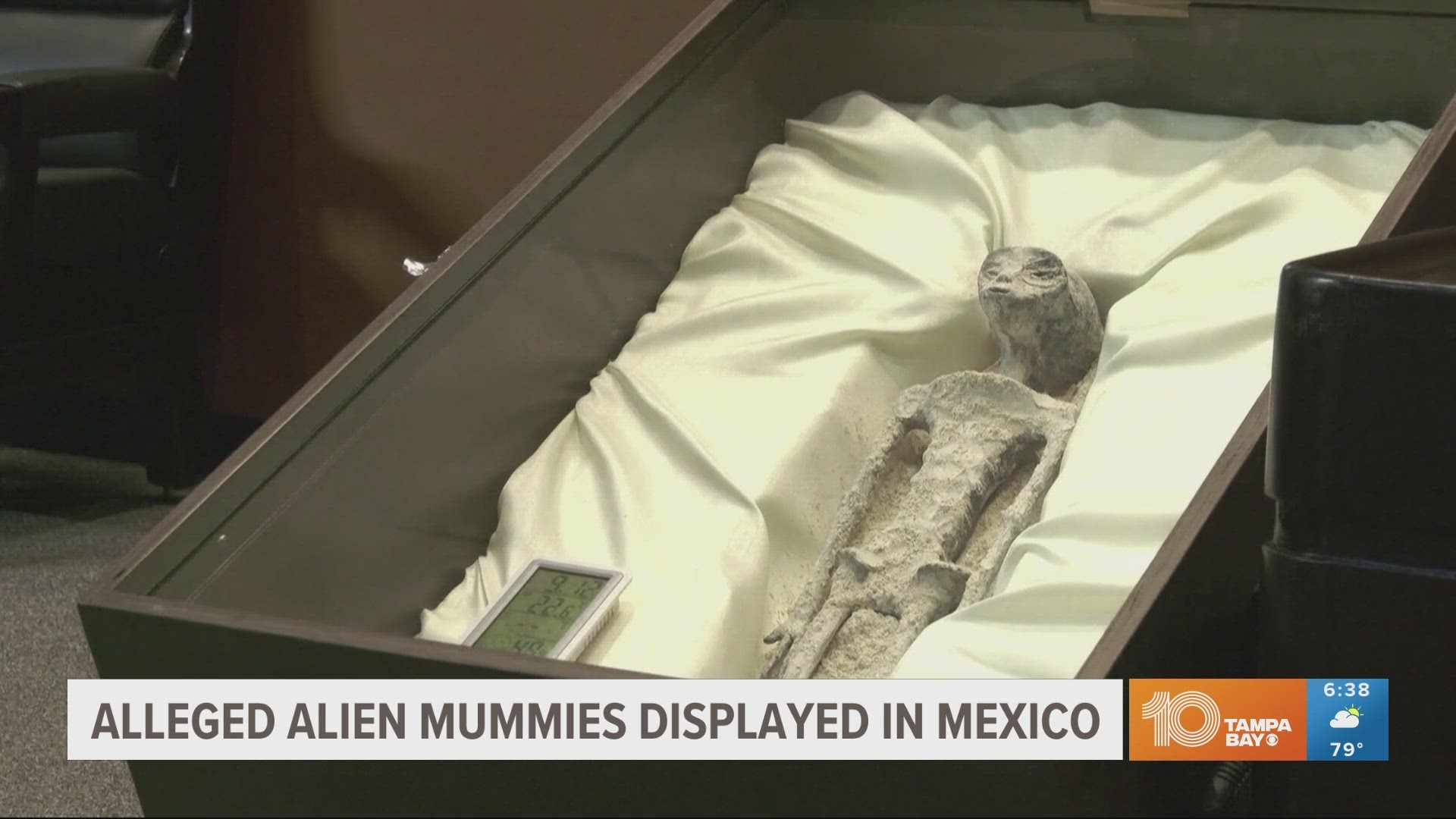 A university in Mexico claims the DNA found on these mummies are non-human life forms. Though scientists have expressed skepticism.