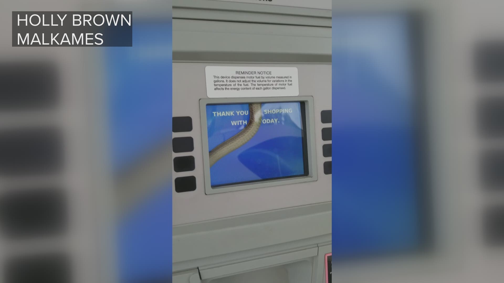 Holly Brown Malkames posted the video to her Facebook page of the snake slithering across a gas pump touchscreen.