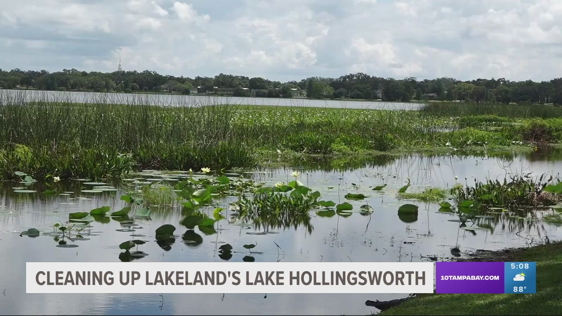 The city is launching a project in a few days to remove excess weeds and vegetation from Lake Hollingsworth.