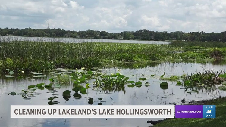 Major project to clean up Lakeland's Lake Hollingsworth about to get underway