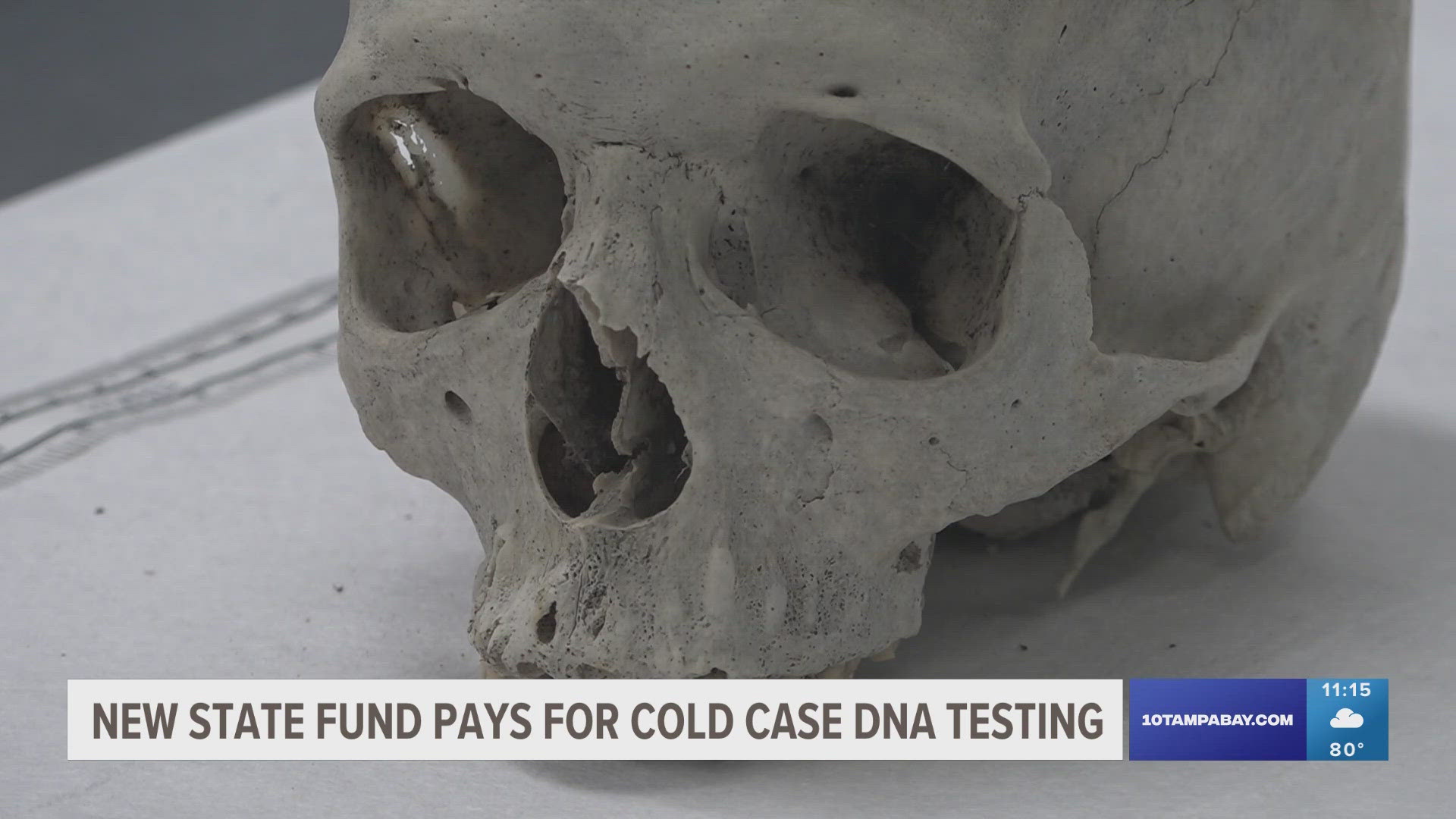 A new Florida state fund will pay for the cold case DNA testing.