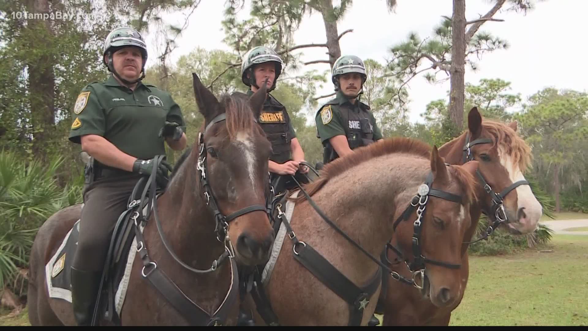 Local police are training horses ahead of the big game.