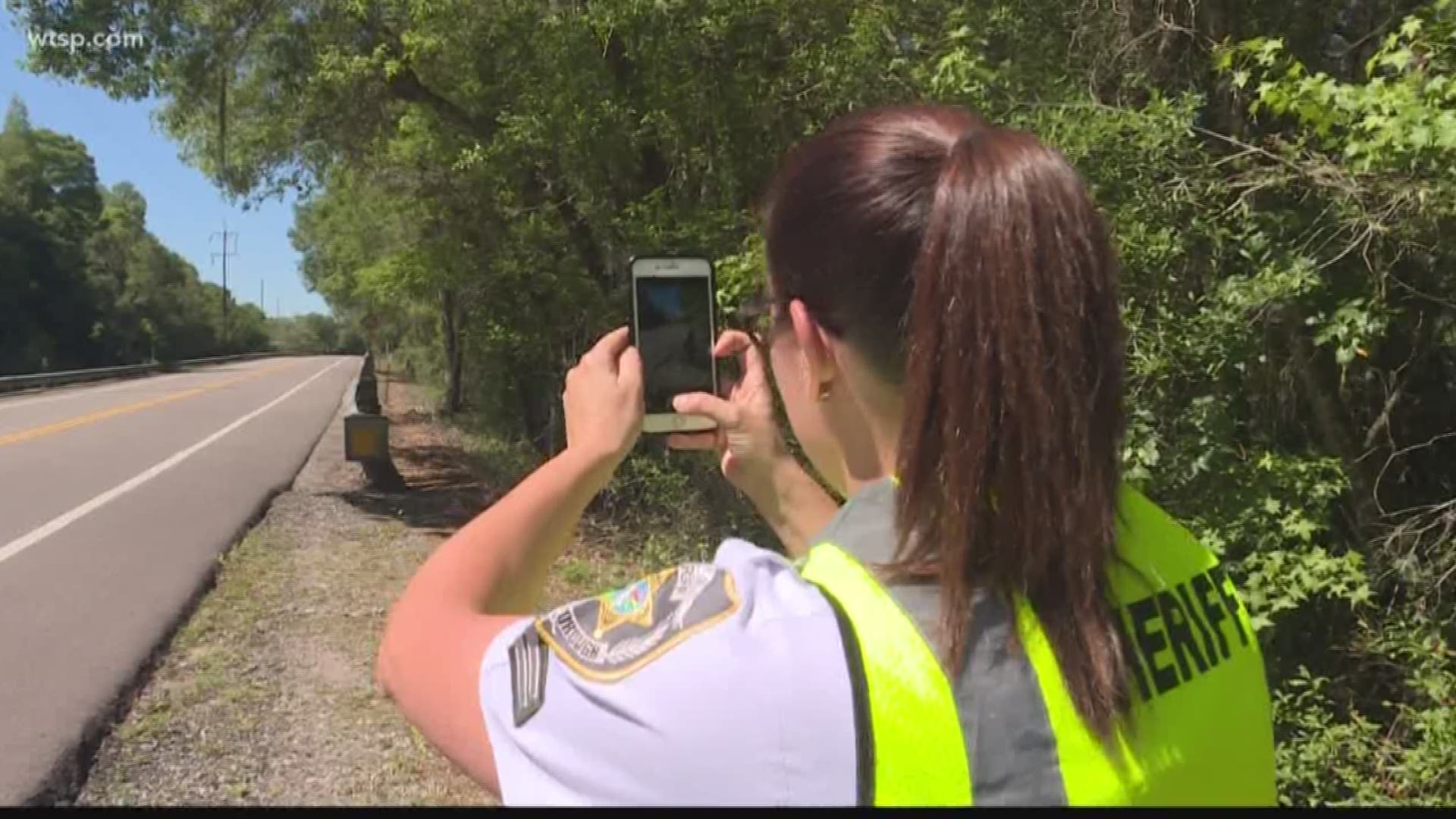 A stretch of road in Hillsborough County is getting a close look under the microscope after a pattern of deadly crashes in recent years.