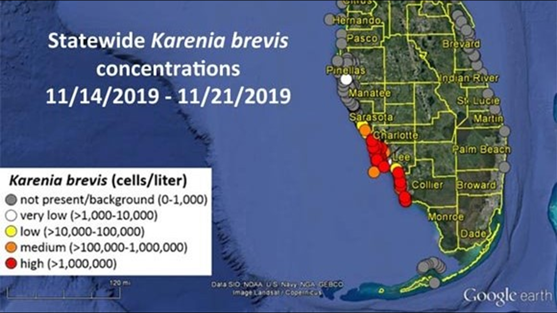 Red tide map latest