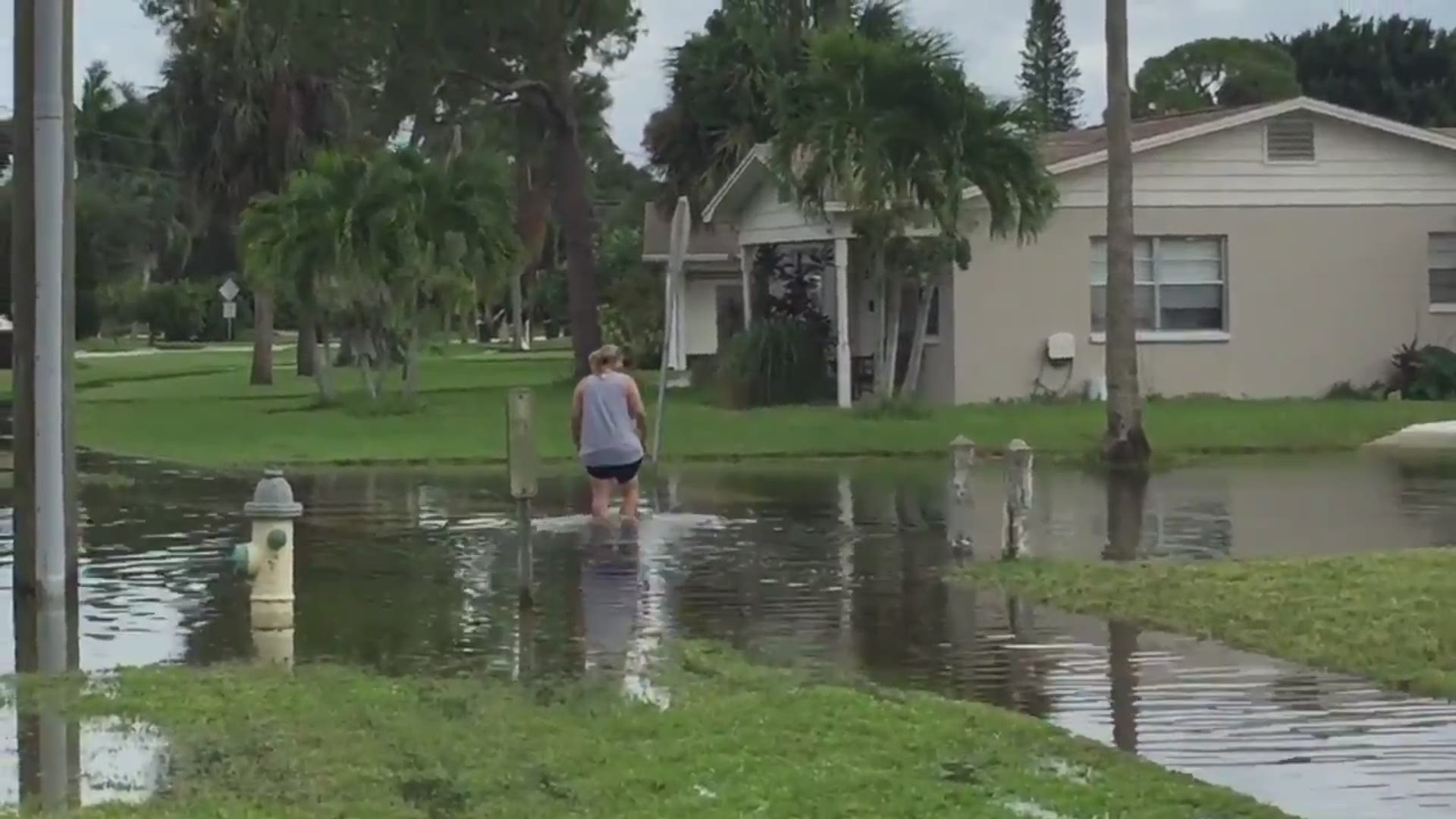 High tide, storm surge caused by Hurricane Michael spurs flooding ...