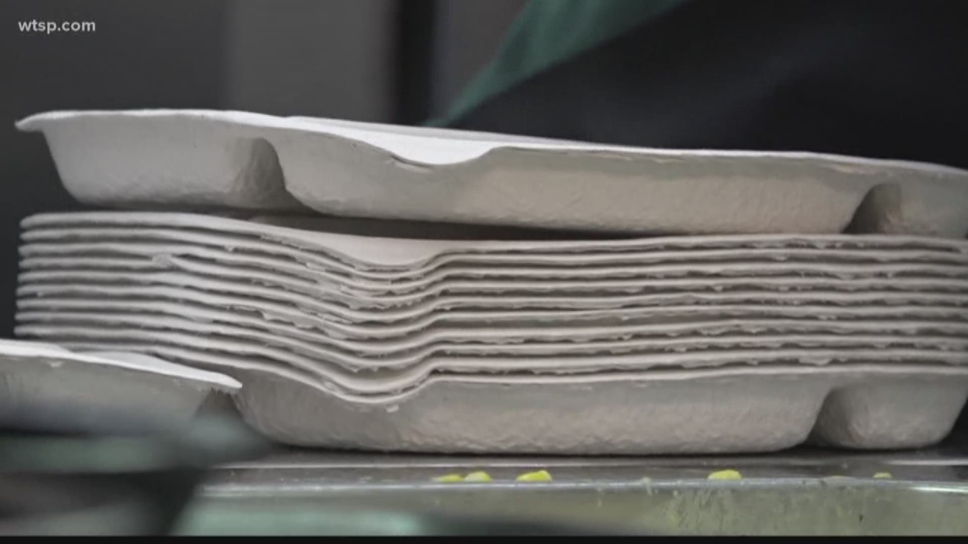 Pinellas County Schools Switch From Styrofoam To Paper Lunch Trays Wtsp Com