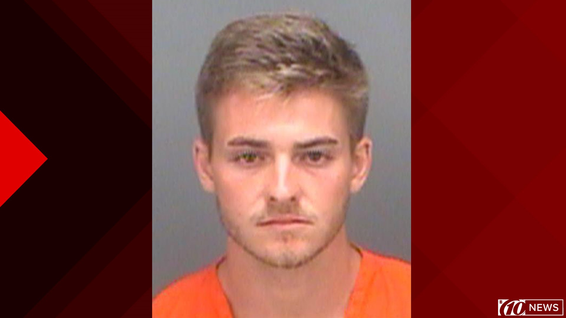 Man Accused Of Causing Triple Fatal Crash In Palm Harbor Arrested ...