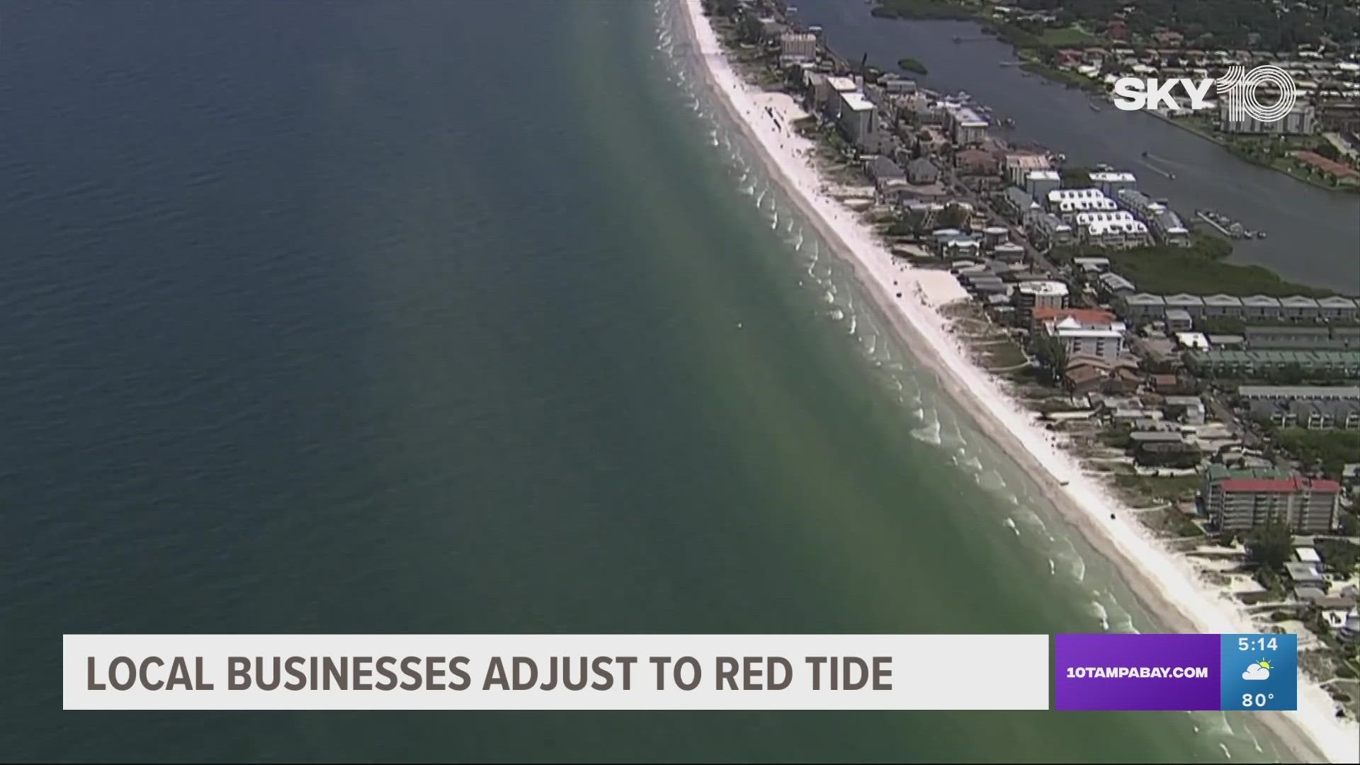 Red tide has been detected at high and medium levels down the coast of southwest Florida, and it can often impact local business.