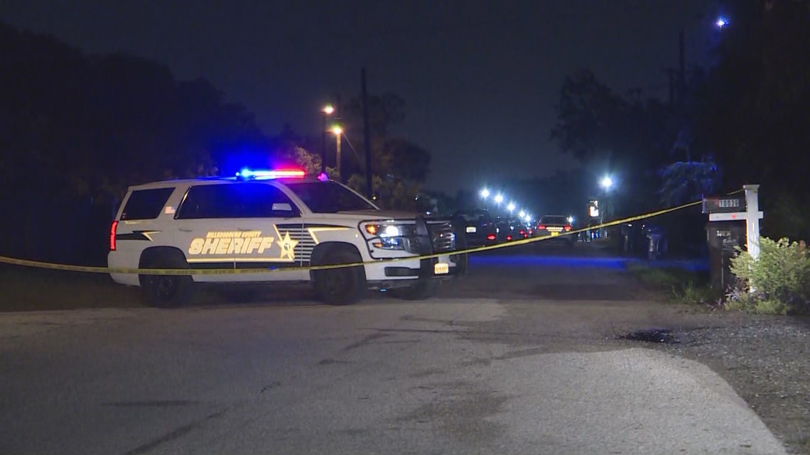 What happened on Tribute Drive in Riverview, Florida?