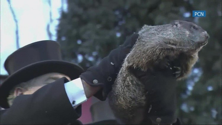 How accurate is Punxsutawney Phil's prediction on Groundhog Day?