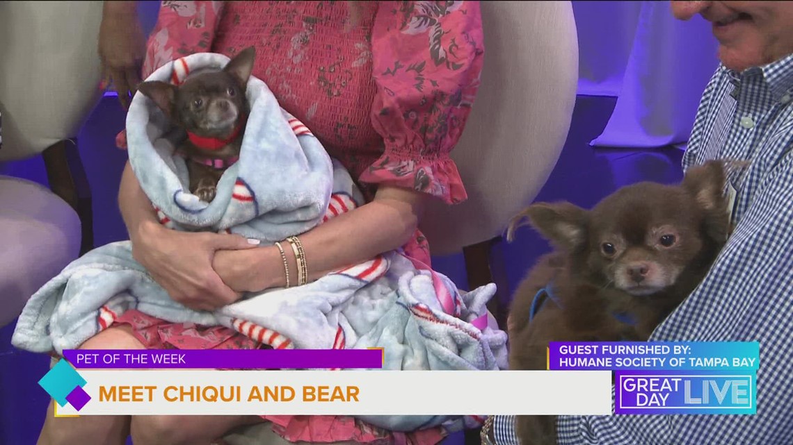 Pet of the week: Meet Chiqui and Bear