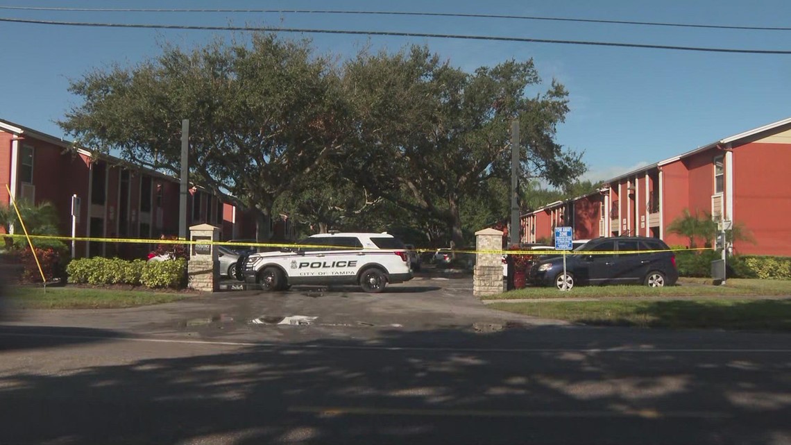 Police chief: Teen confesses to shooting girl over drug argument | wtsp.com