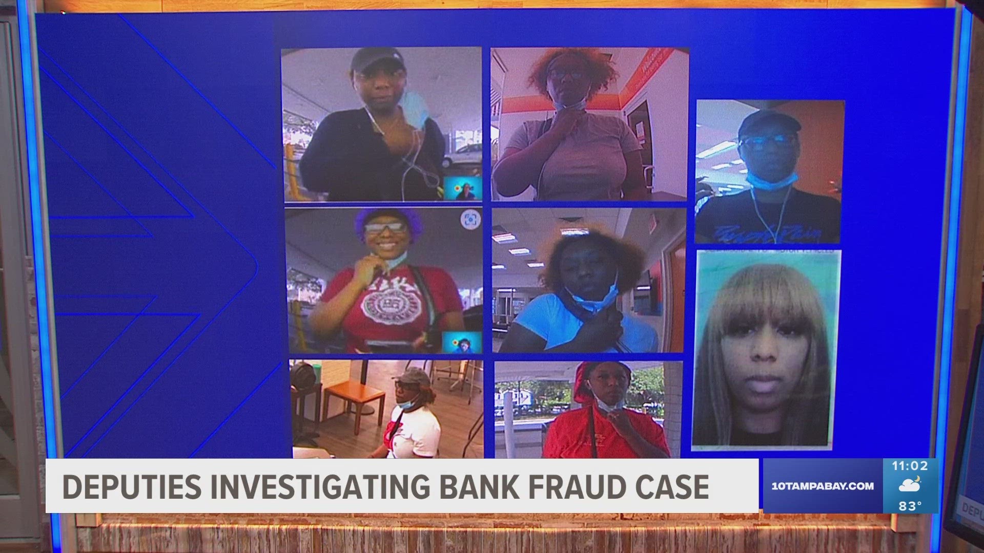 Several people used multiple counterfeit North Carolina driver's licenses to open numerous bank accounts in the Tampa Bay area, the sheriff's office said.