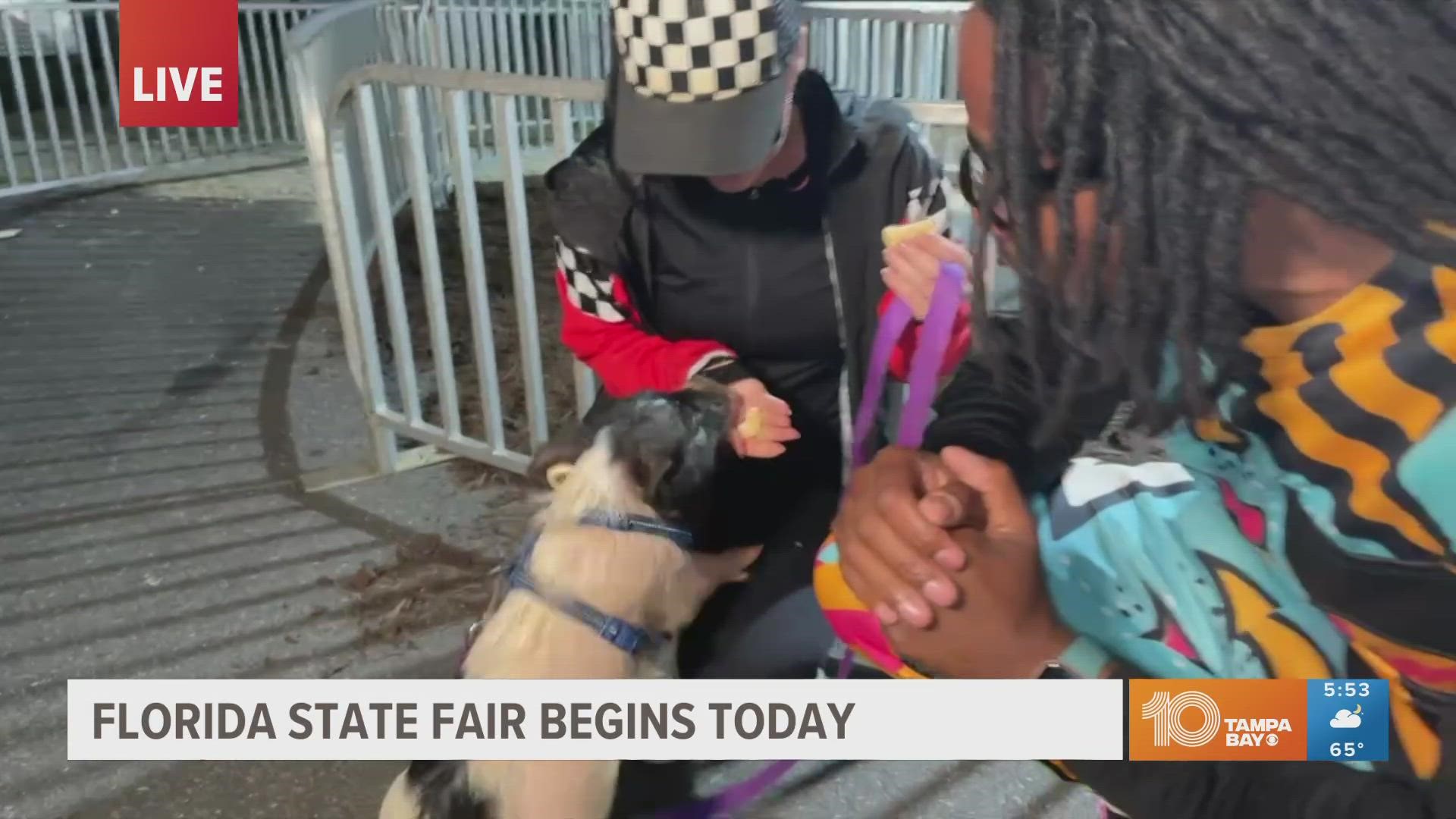 From fair food to rides to pig races, the Florida State Fair has something for everyone.