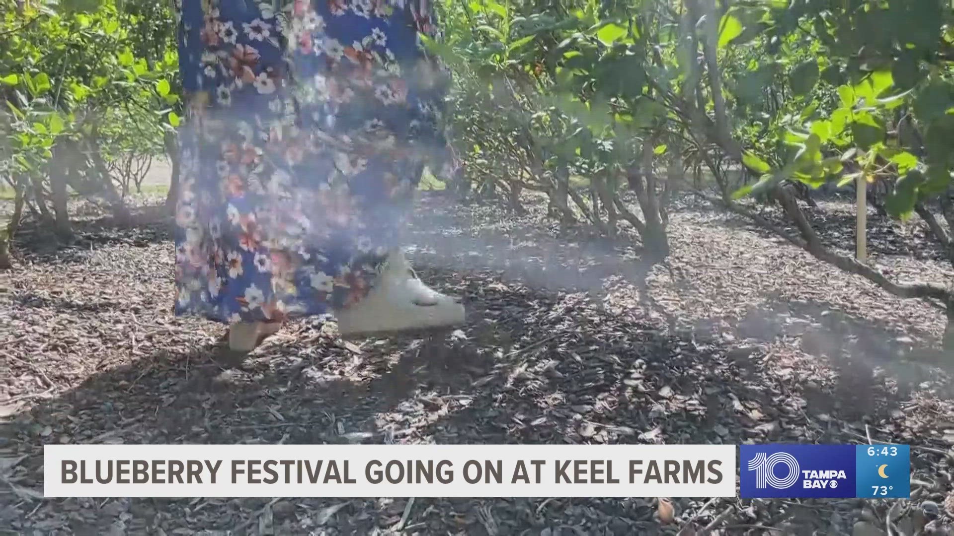 The annual seasonal festival showcases the importance of agriculture for the community.