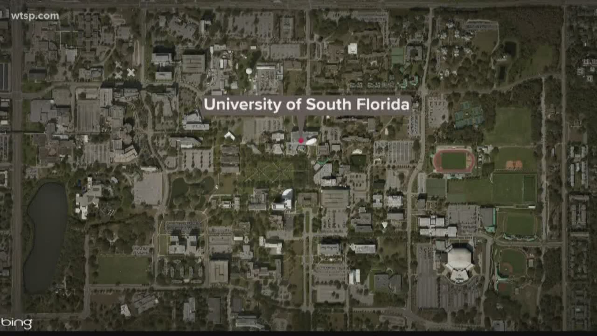 A woman died after falling from an upper level of a parking garage at the University of South Florida in Tampa.