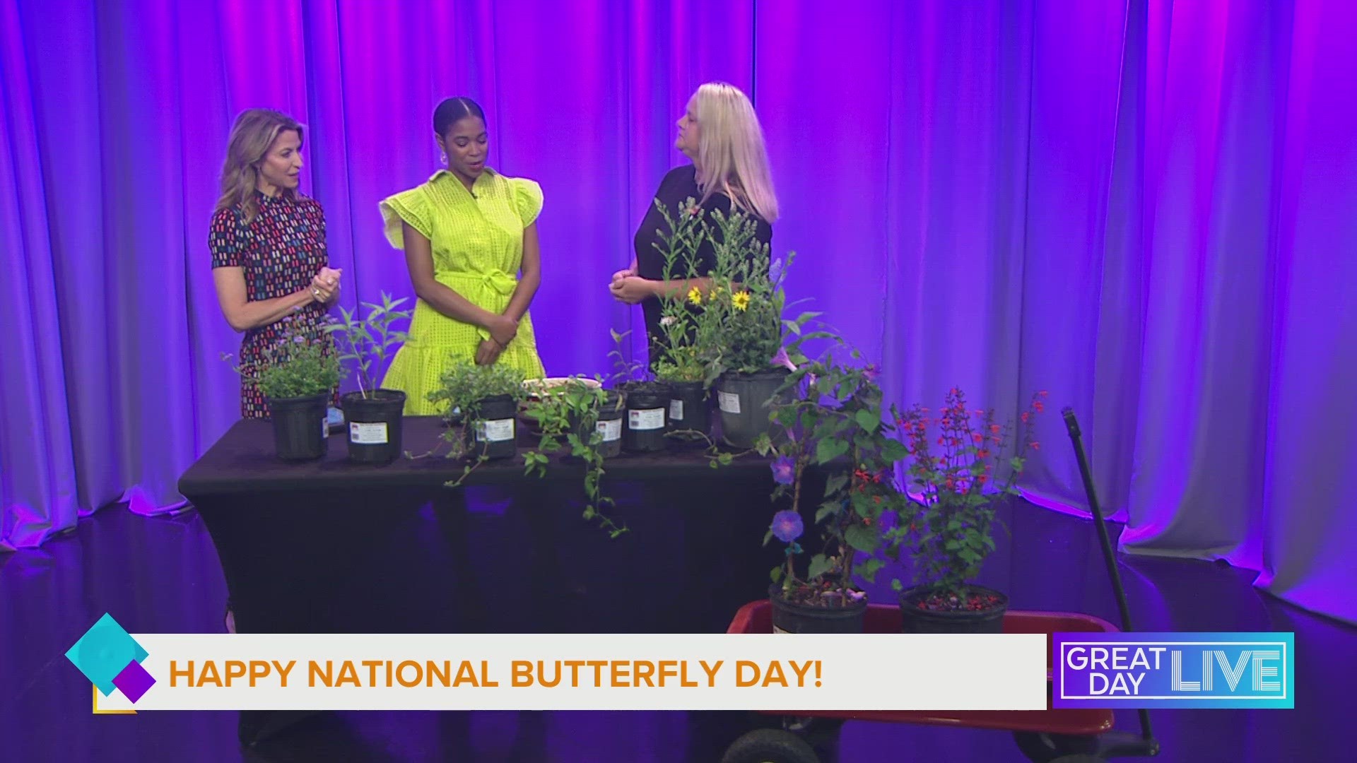 National Butterfly Day