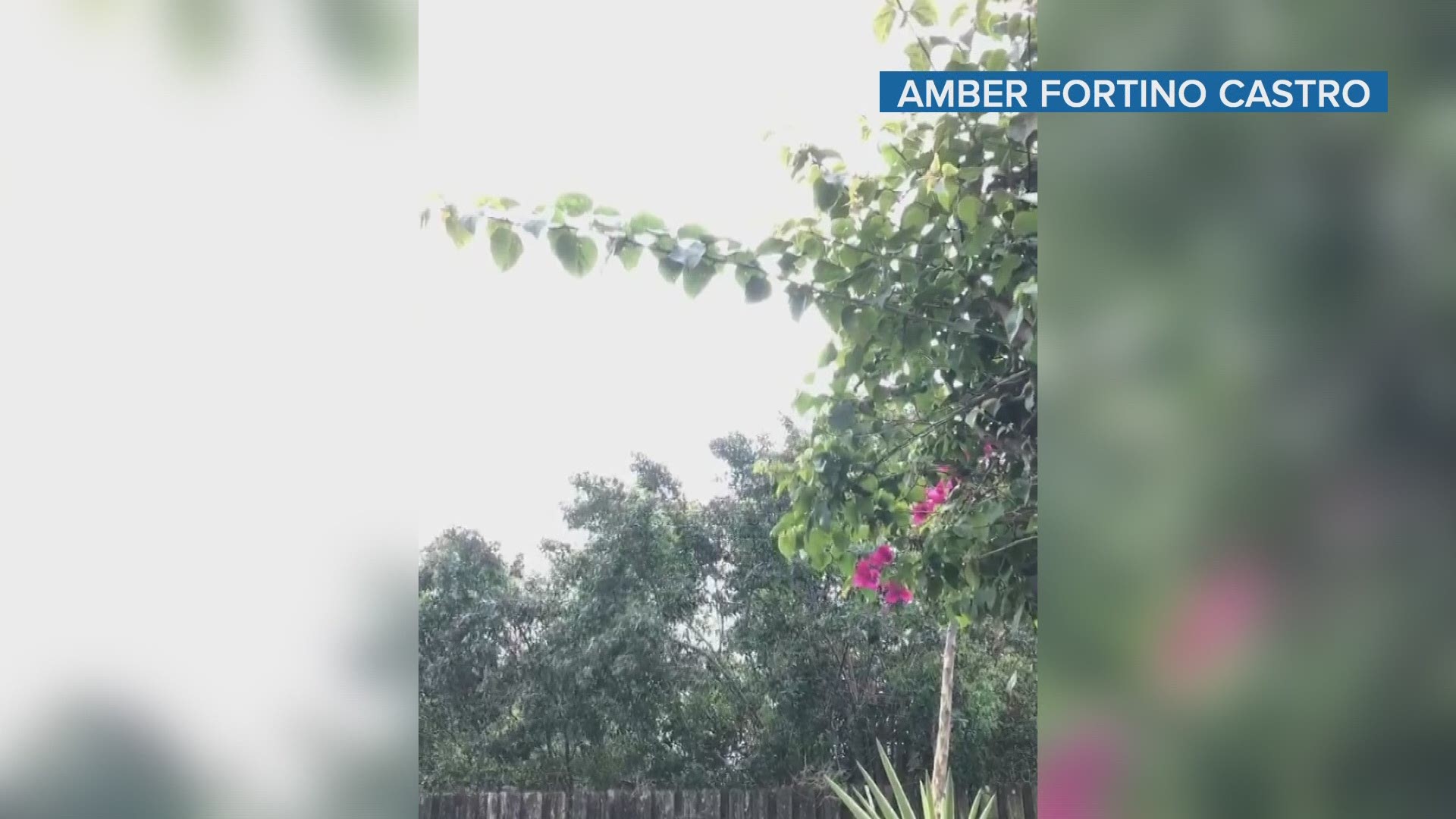 Video captured by Amber Fortino Castro showed what appears to be small snowflakes or flurries late Wednesday morning in Port St. Lucie, but it's actually graupel.