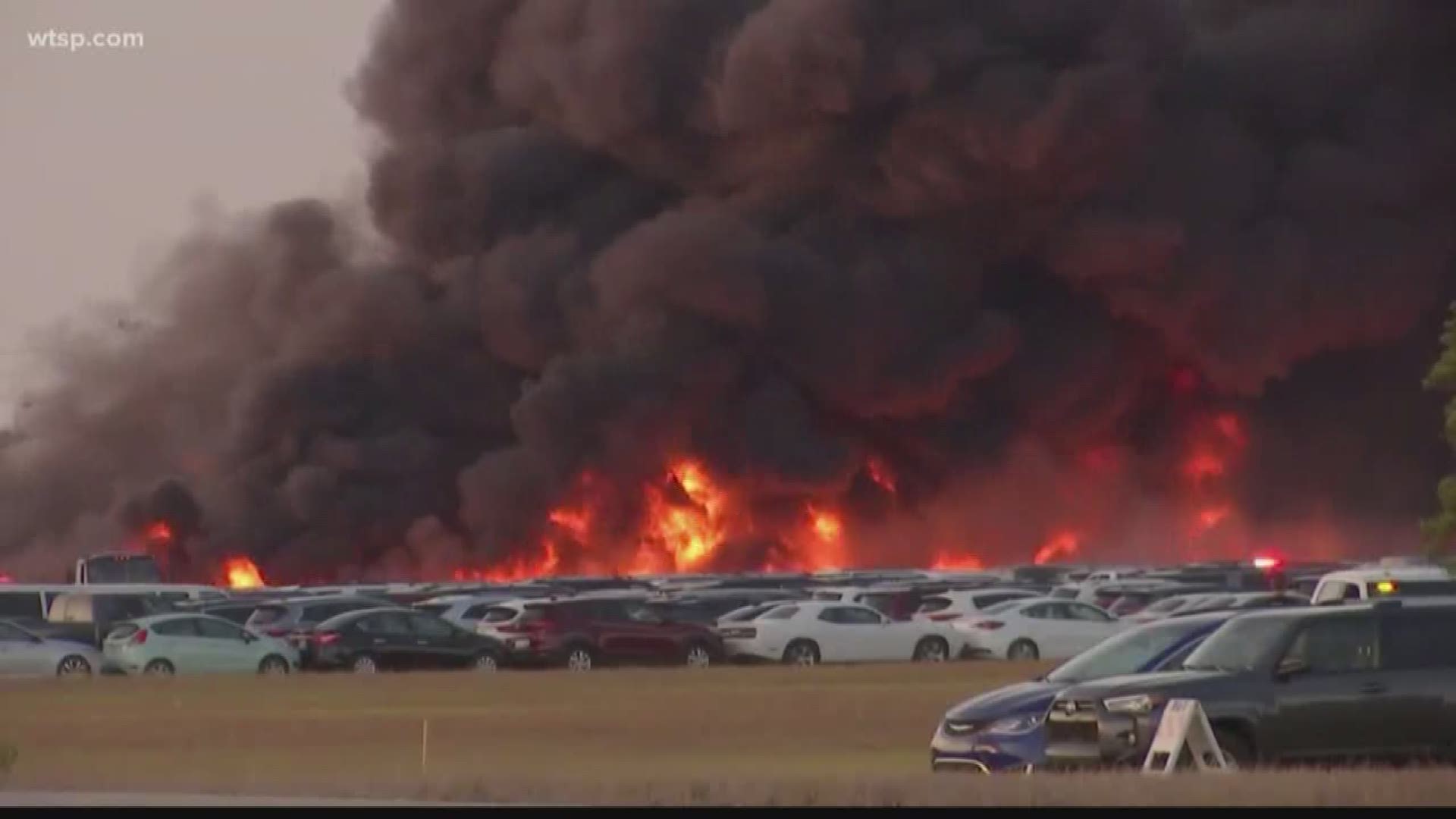 A 15-acre fire destroyed thousands of rental cars at Southwest Florida International Airport.