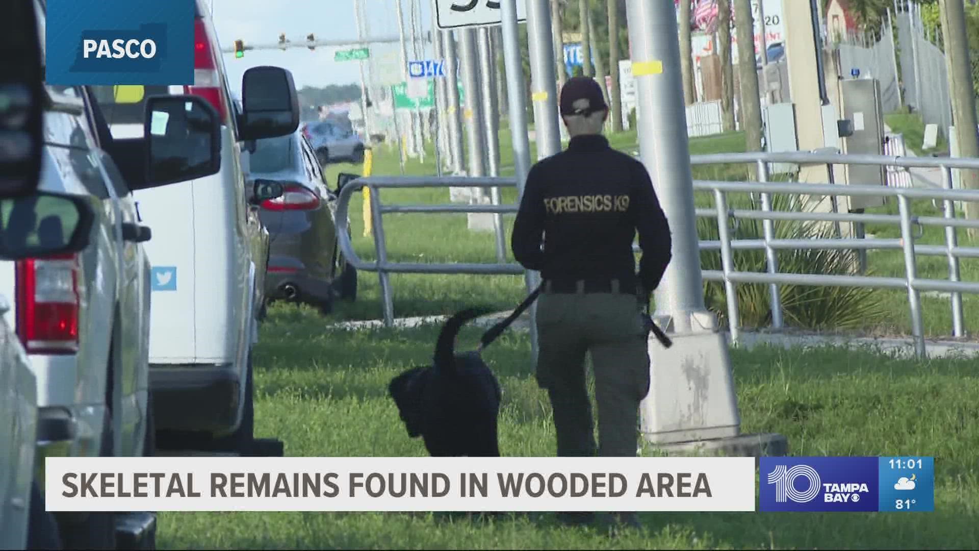 Skeletal Remains Found In Pasco County Investigation Underway Wtsp Com