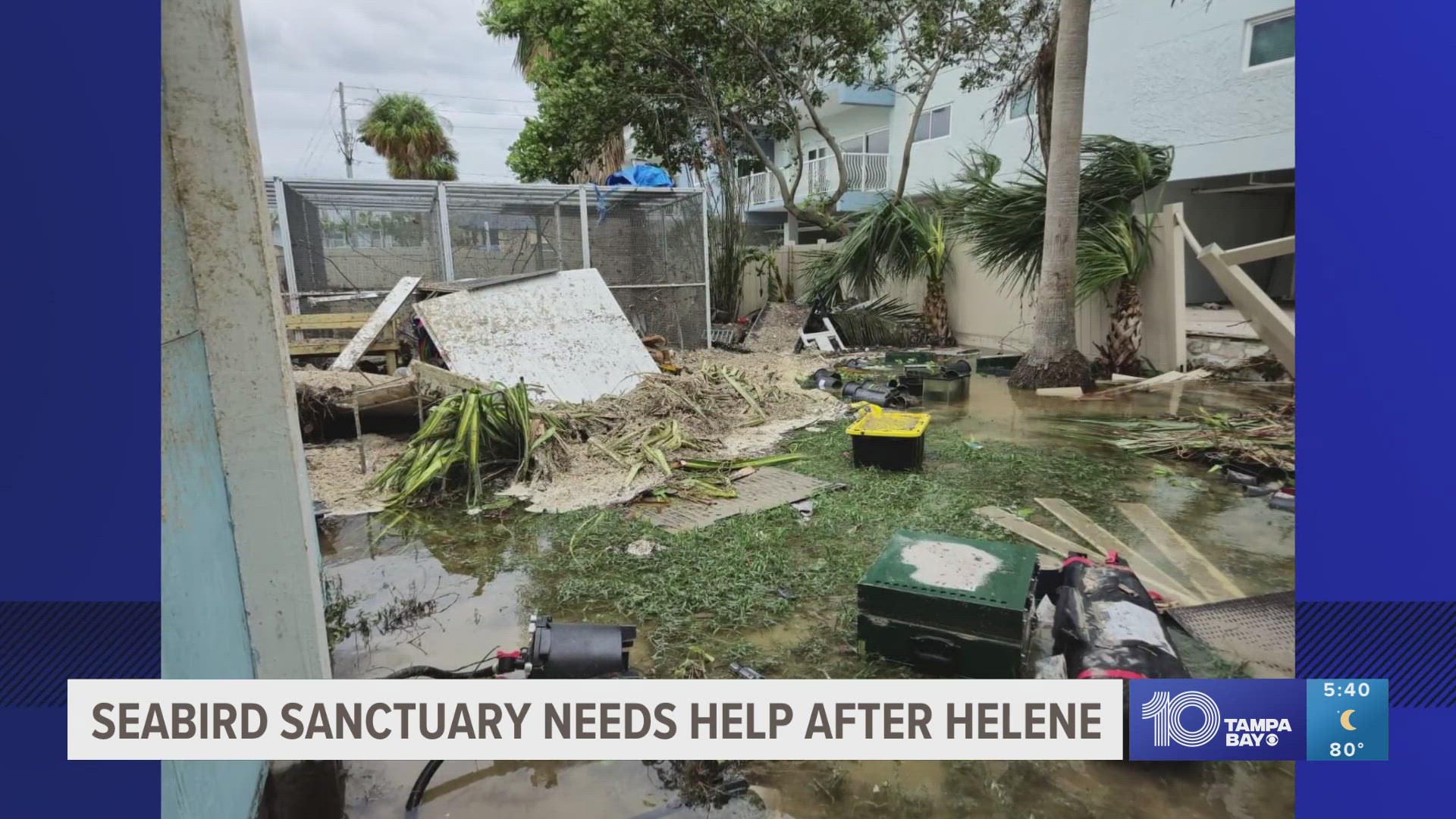 Seaside Seabird Sanctuary in Indian Shores took a lot of damage with debris and sad all over after the flood water receded.