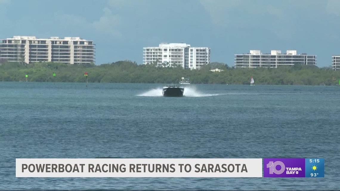 Hammerhead shark thrashes in ankledeep water in Boca Grande