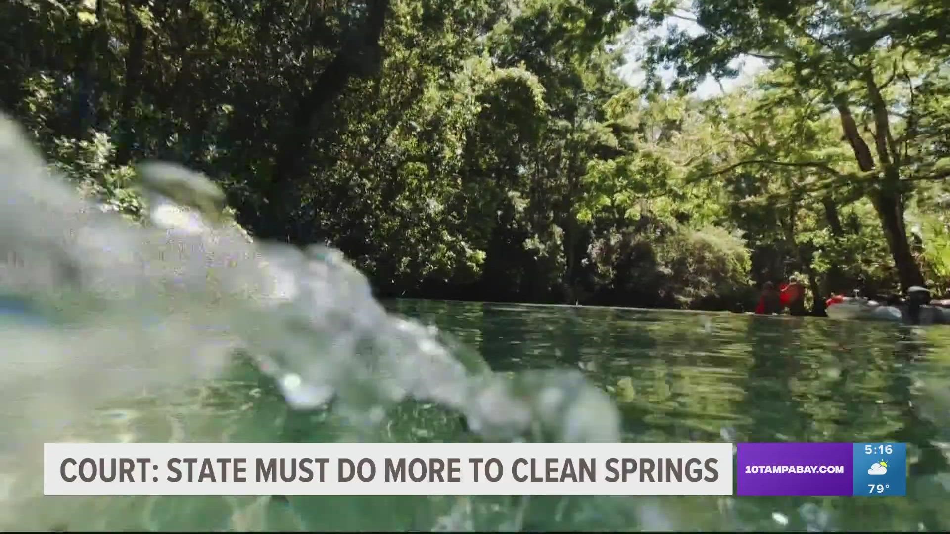 "This allows us to hold polluters accountable," Ryan Smart of the Florida Springs Council said after Wednesday's ruling.
