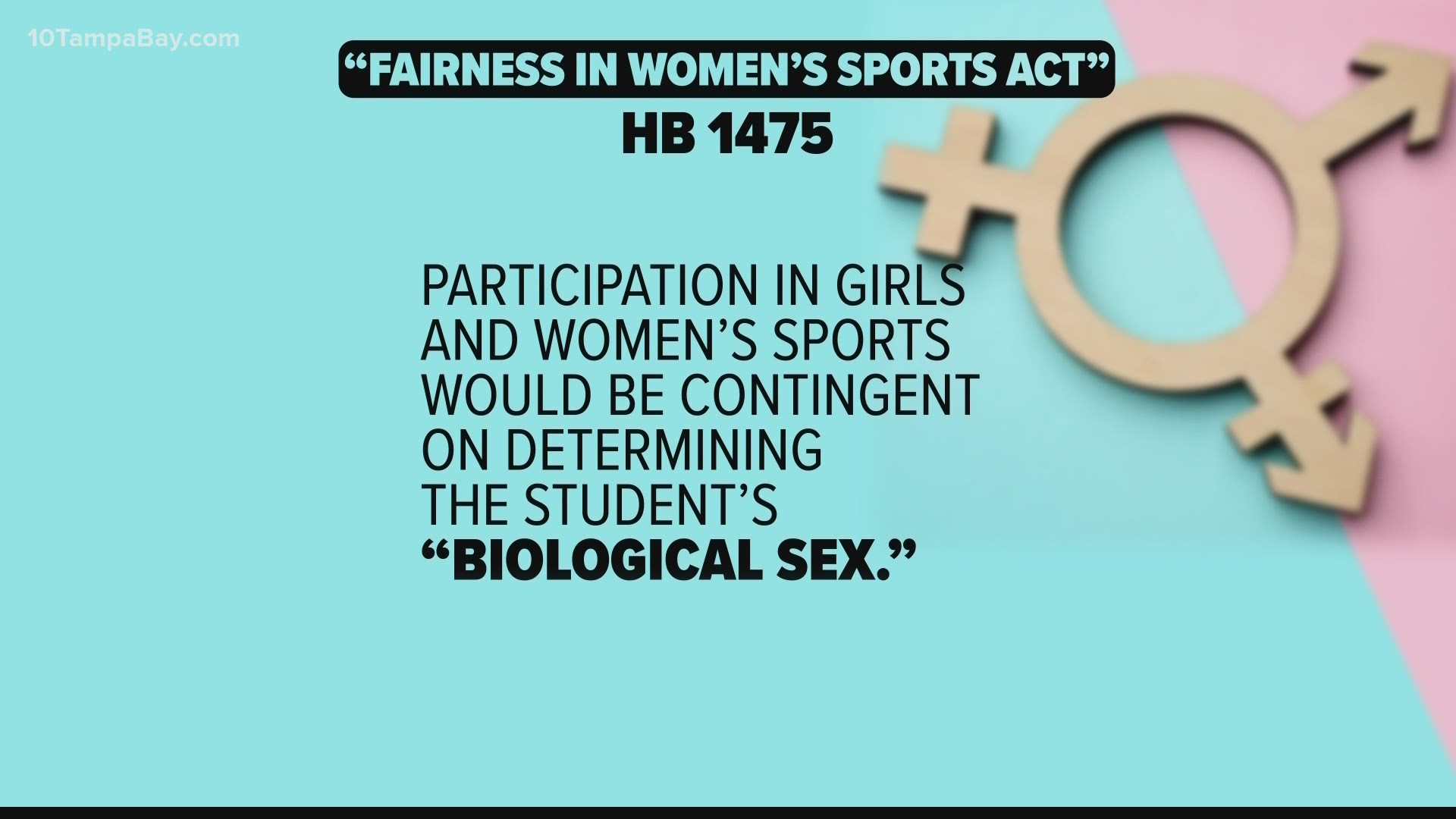 The transgender athlete ban requires athletes to compete on teams determined by the biological sex recorded on their birth certificates.