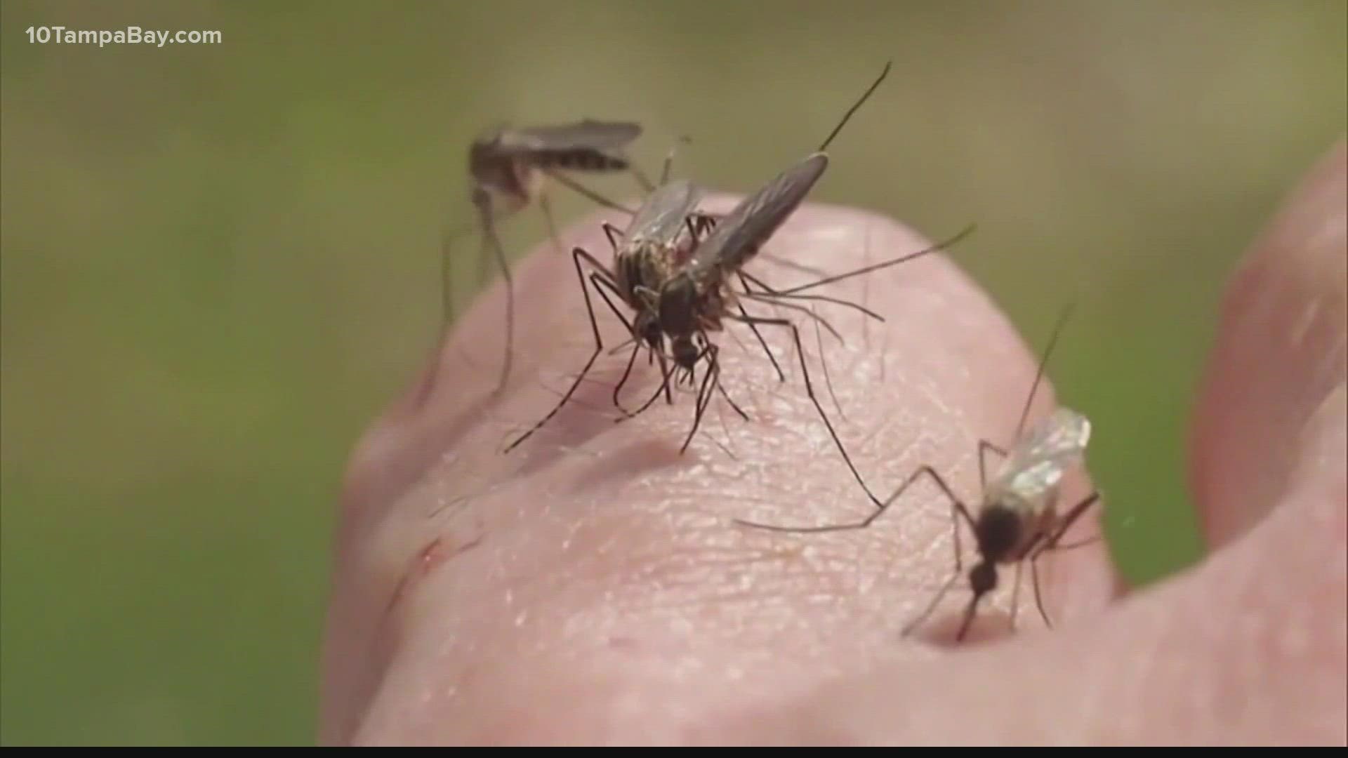 What really works to keep mosquitoes at bay, and what you may be doing wrong.