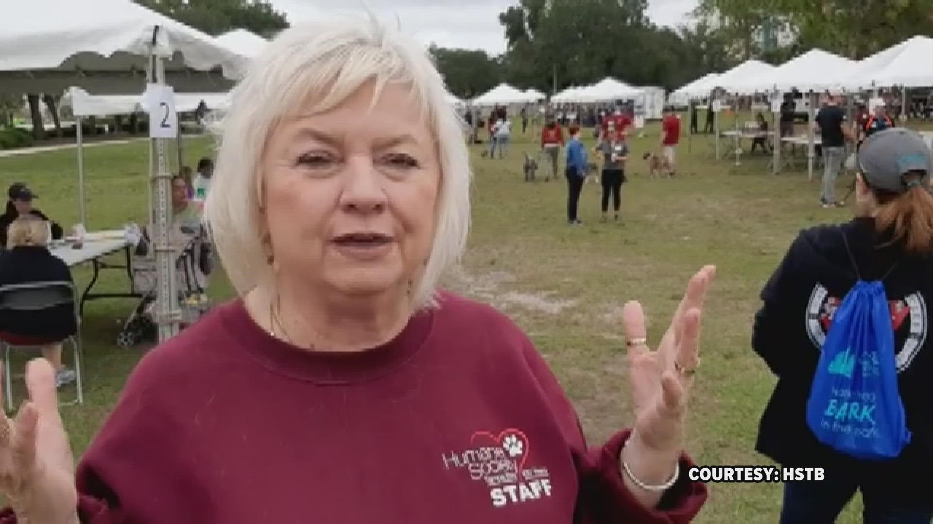 Humane Society Of Tampa Bay Hosts Free Vaccination Clinic Wtsp Com   89788b6a 8411 44b9 818e 50a2b54a395b 1920x1080 