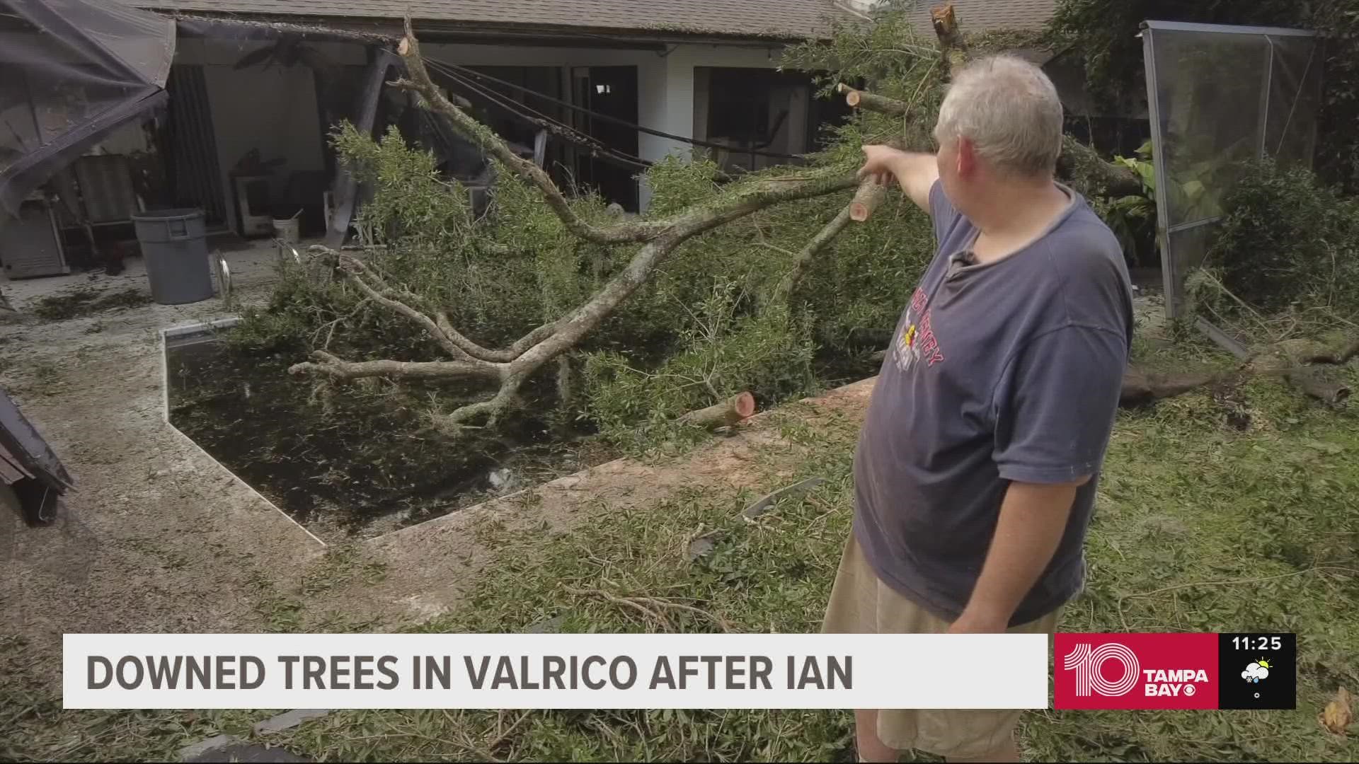 Downed Trees Neighbors Begin Cleanup In Valrico After Hurricane Ian