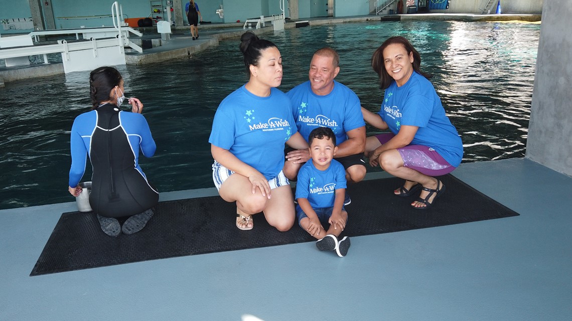 Make-A-Wish gives child dream encounter with dolphins | wtsp.com