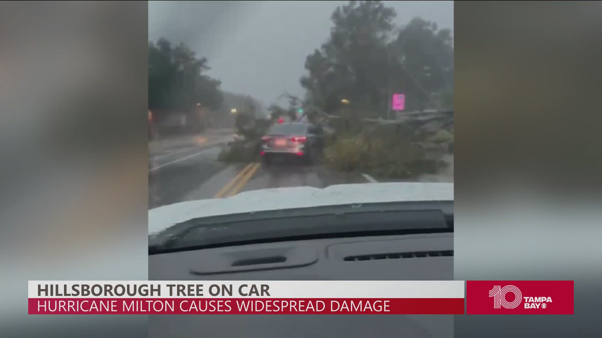 The Hillsborough County Sheriff's Office shared video which shows a tree that fell on top of a car during Hurricane Milton.