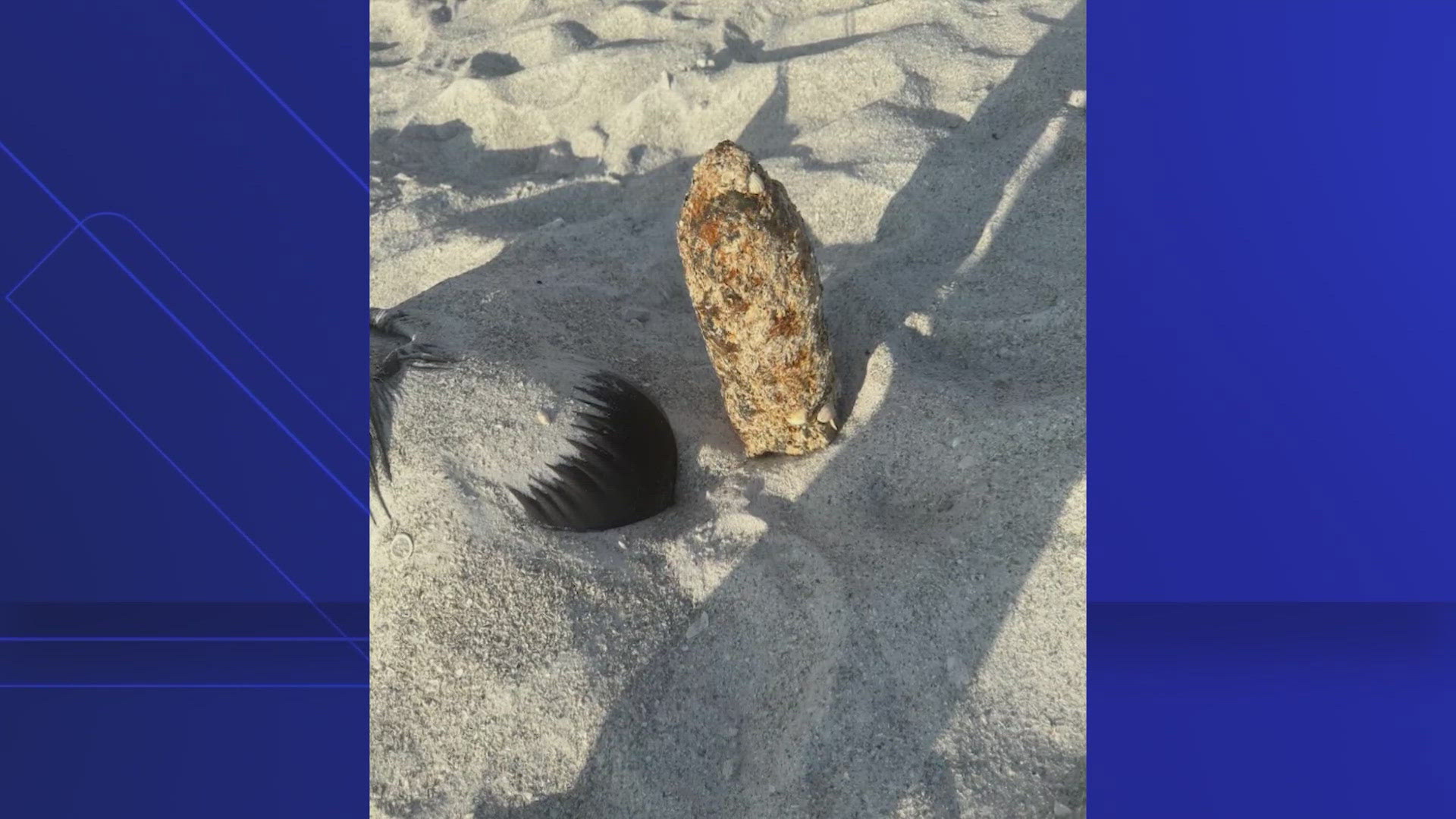 A local bomb squad and the MacDill Air Force Base Explosive Ordnance Disposal responded to the area to remove the device.