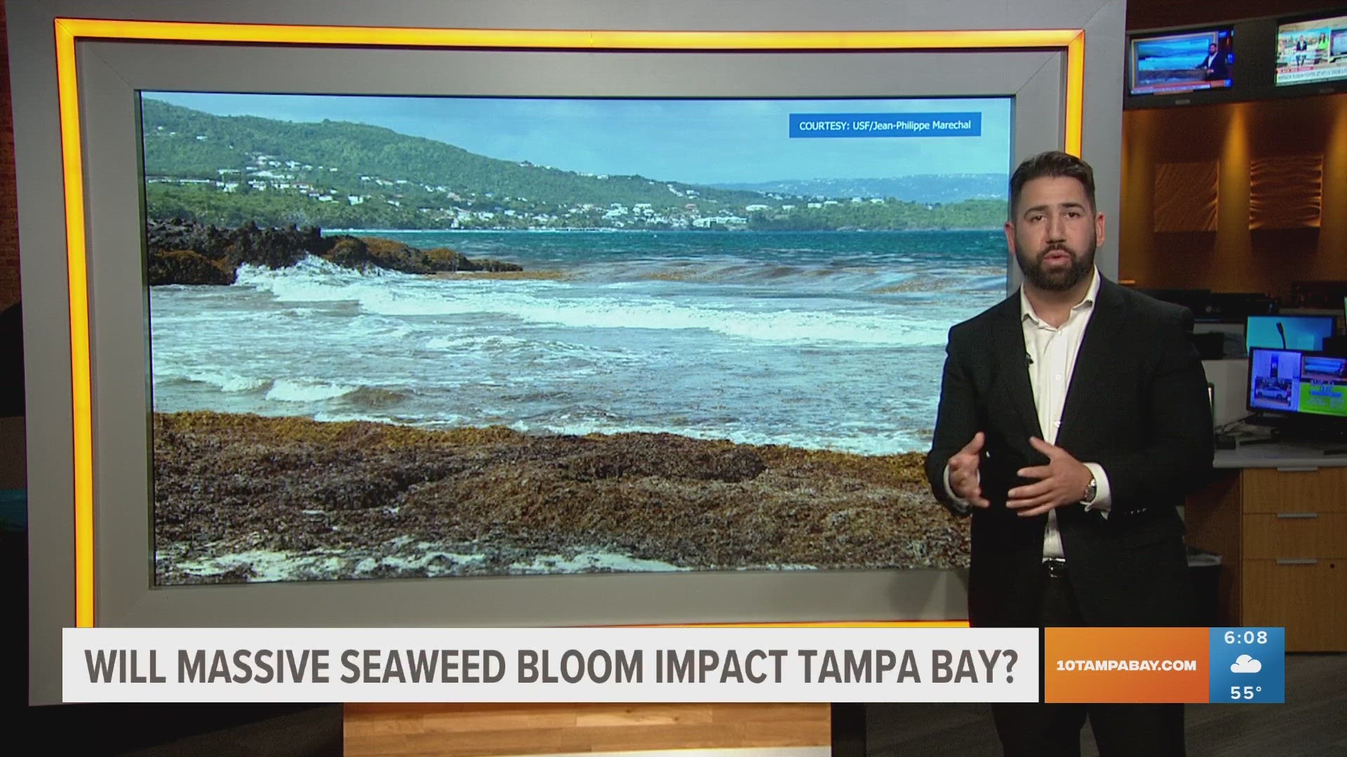 We spoke with a USF oceanographer who tracks this naturally occurring bloom who explains why Tampa Bay area beaches usually don't see seaweed washing ashore.