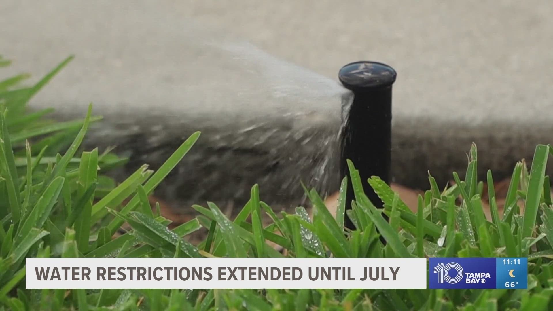 Residents in Hillsborough, Pasco and Pinellas counties may only water their lawns one day a week.