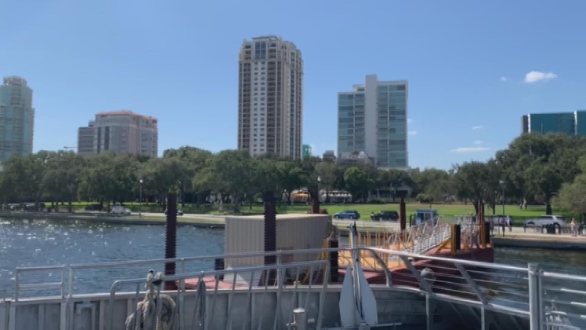 Ferry on X: Tampa Bay Rays  / X