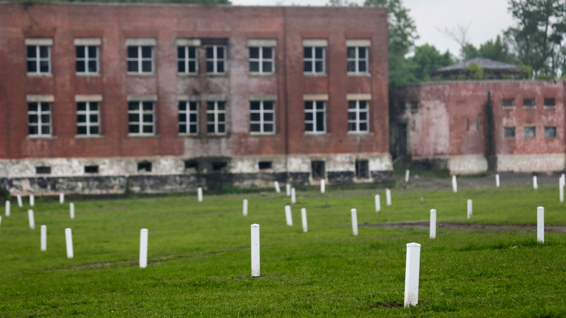 Hart Island cemetery in the Bronx turning into public park | wtsp.com