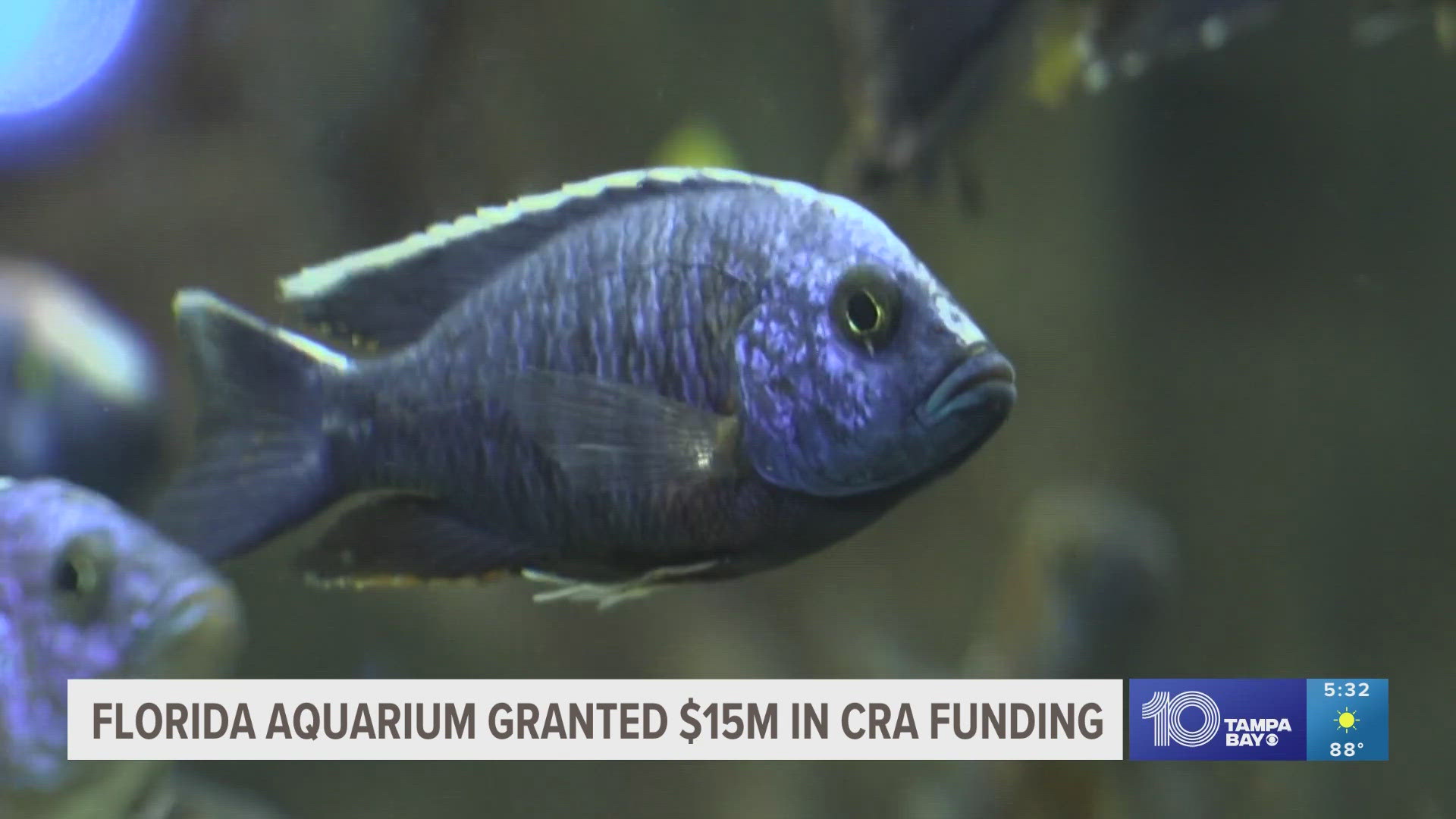 Florida Aquarium president Roger Germann says the planned redevelopment includes four new exhibits.