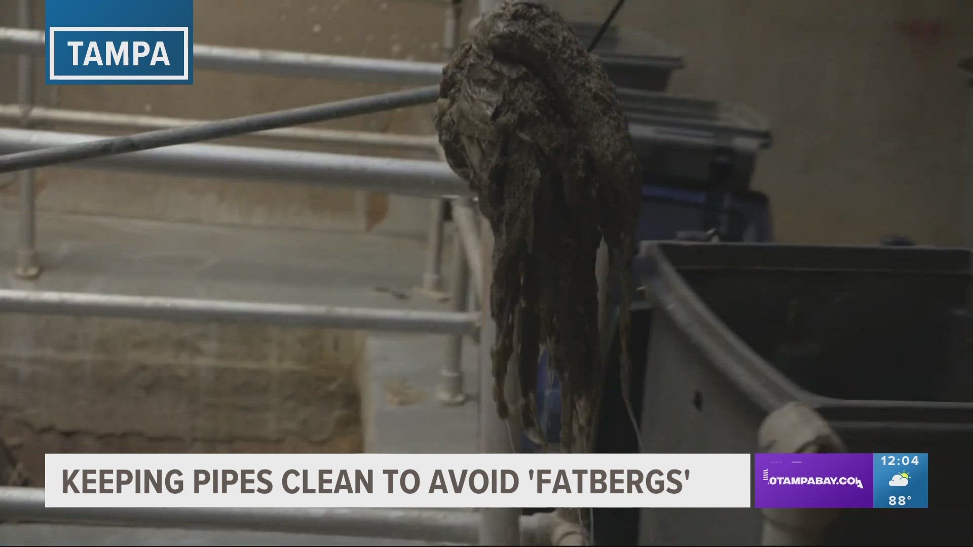 The city of Tampa is urging residents to keep their drains clear of oil, cooking fats and grease to help prevent "fatbergs" from clogging pipes.