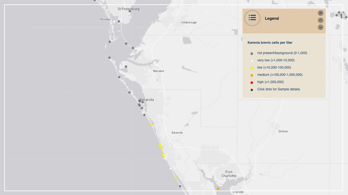 Red Tide reported in Sarasota County near Turtle Beach | wtsp.com