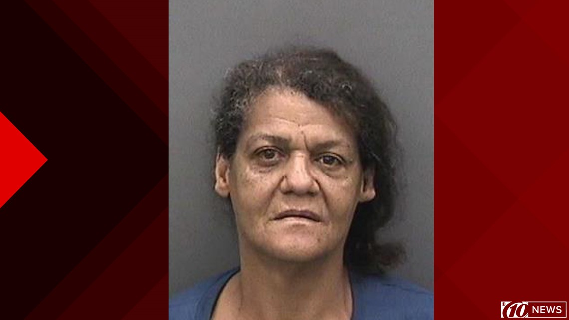 Tampa woman arrested after police say she hit and killed a woman, left ...