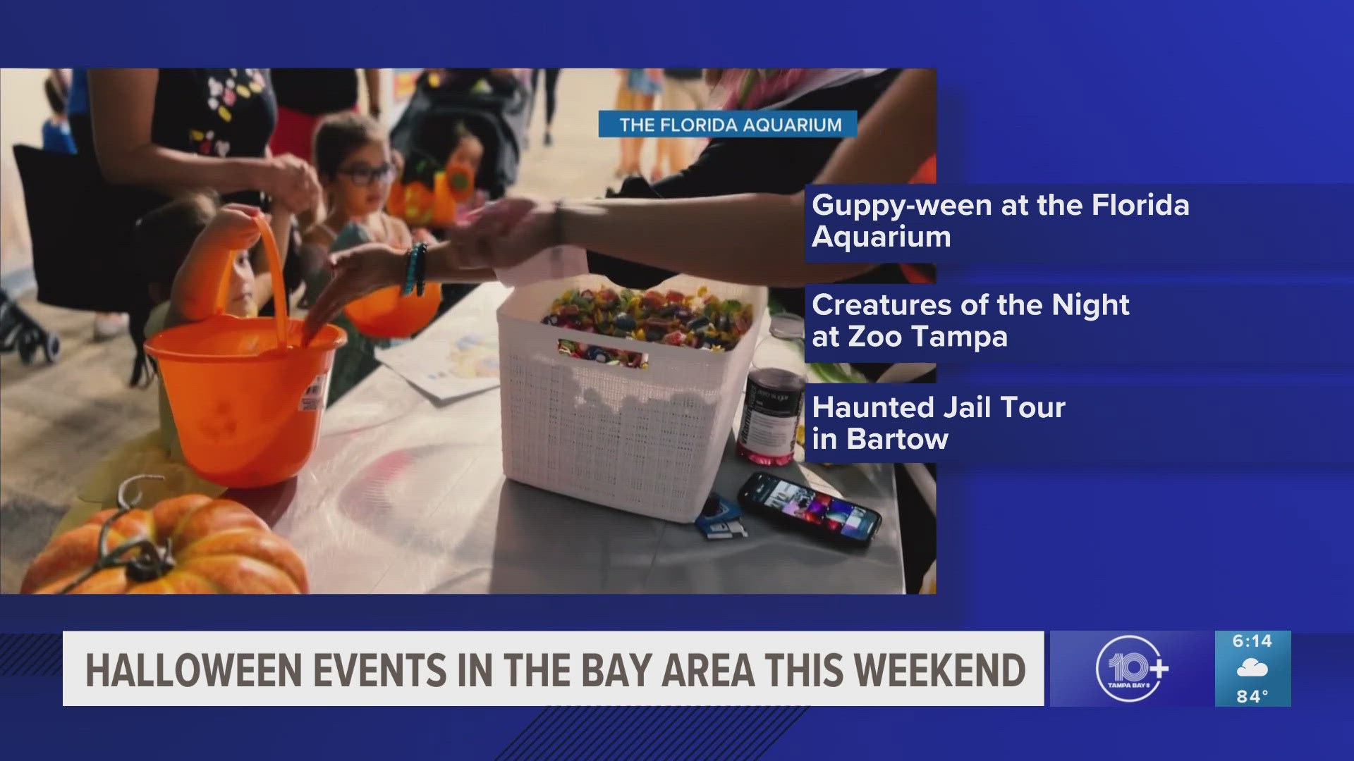 Guppy-Ween at the Florida Aquarium will be happening this weekend, as well as other events at Zoo Tampa and Bartow.