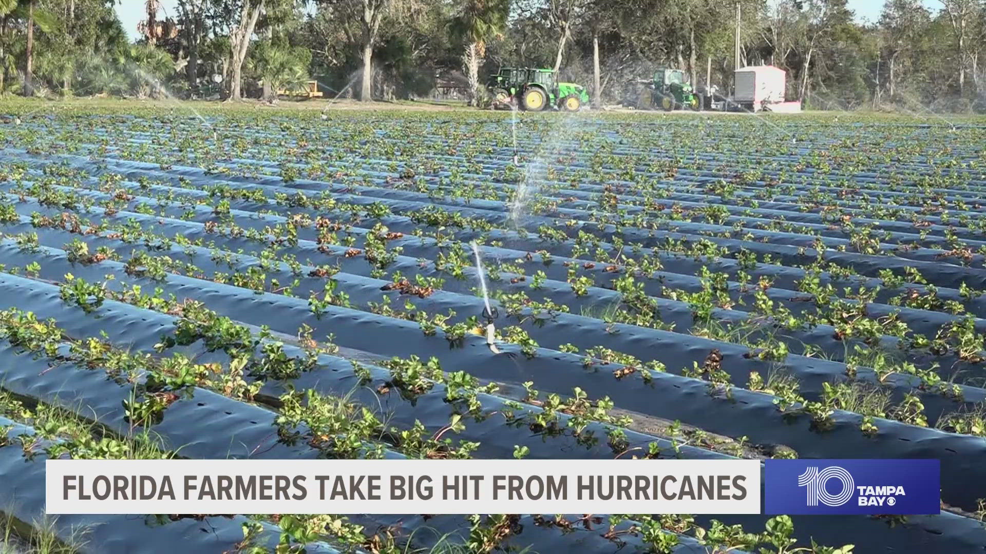 Early damage estimates from Hurricane Milton alone is projected to be in the billions of dollars.