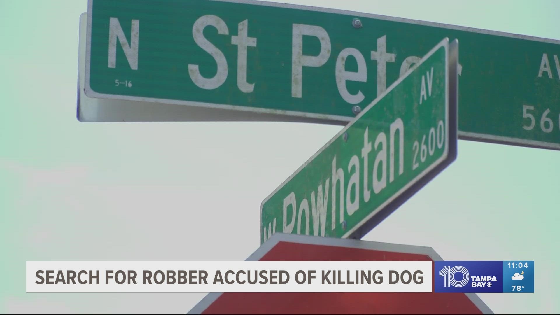 Police say a man was walking his two dachshunds near the 2600 block of W. Powhatan Avenue when an armed man came up behind him, pointed a gun and demanded money.