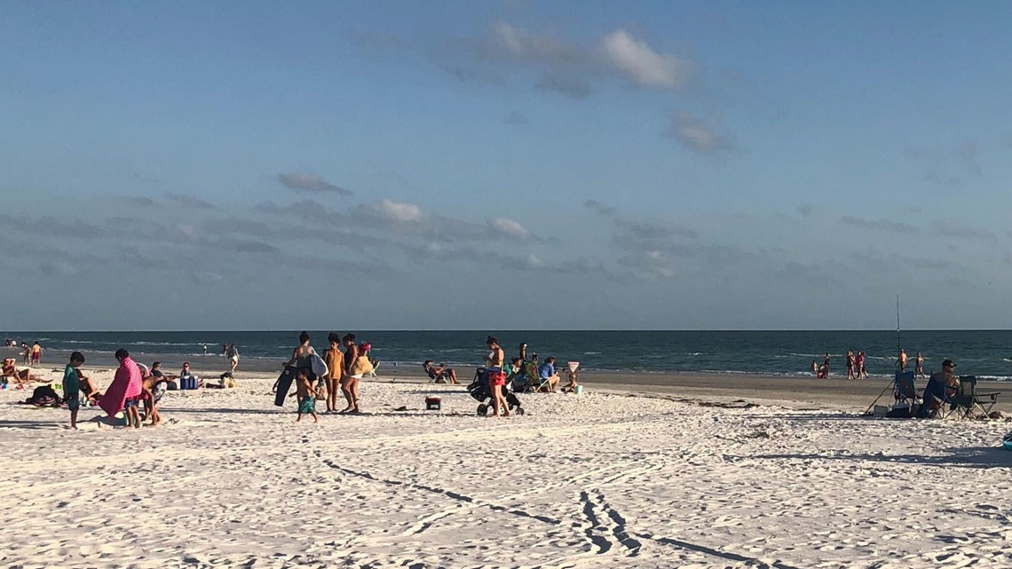 Red tide prevalent among Pinellas, Sarasota, Manatee counties | wtsp.com