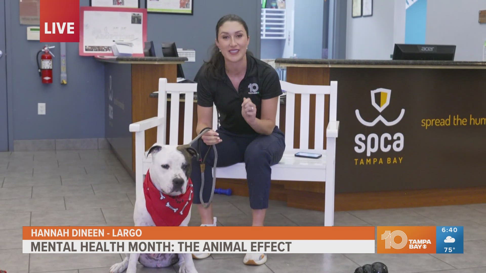 During Mental Health Awareness Month, SPCA Tampa Bay points to the mental health benefits of being around animals, encouraging people to adopt or volunteer.