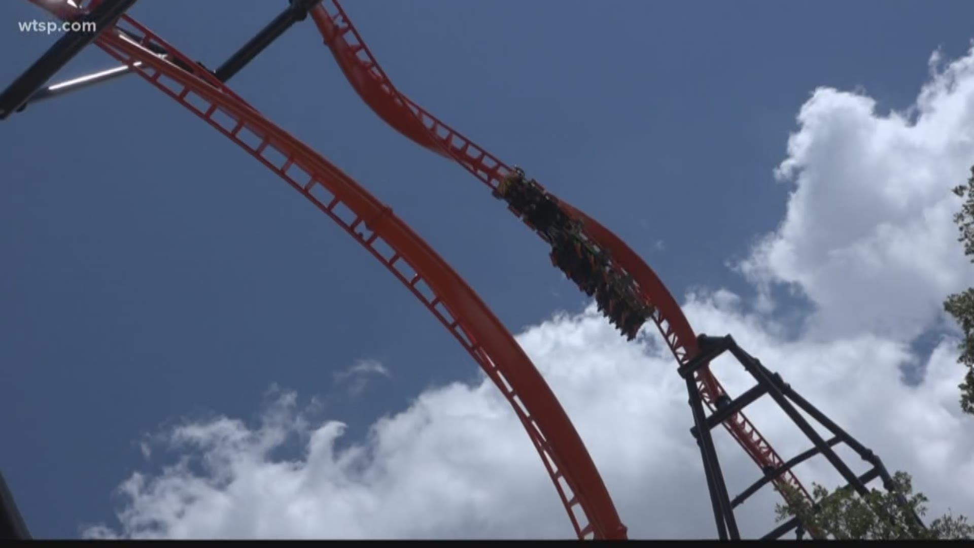 Tigris will catapult riders forward, then backward and then through heartline rolls and sky-high loops. https://on.wtsp.com/2Gz2qlX