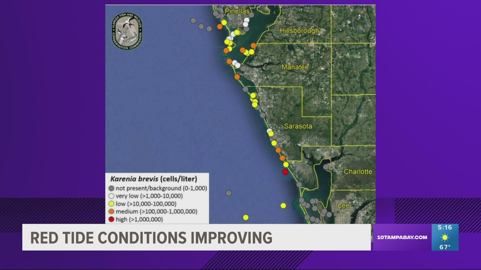 Different levels of red tide concentrations were found in waters in Pinellas, Hillsborough, Manatee and Sarasota counties.